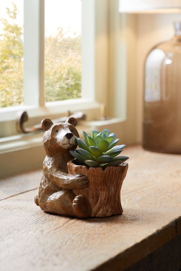 Green Bertie Bear Artificial Succulent