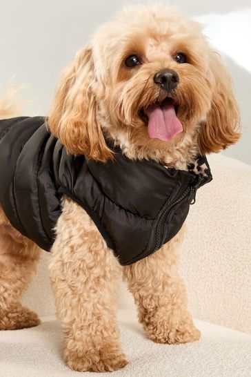 Lipsy reversible padded parka coat shop