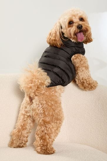 Buy Lipsy Black Reversible Dog Padded Jacket from Next Netherlands