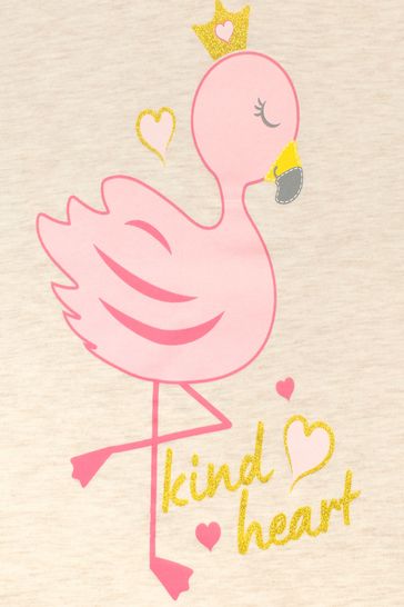 Buy Harry Bear Flamingo T Shirt from Next Turkey