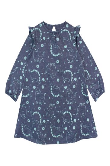Next dinosaur dress hot sale