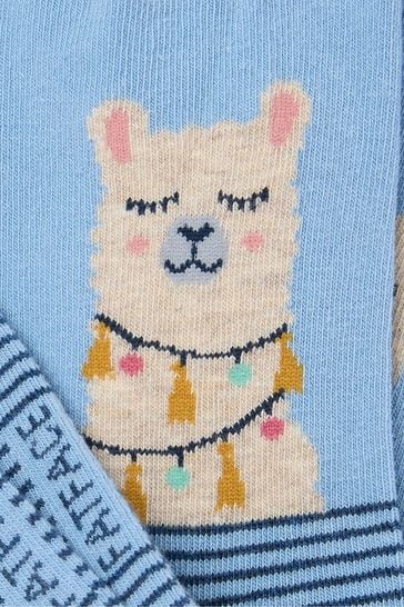 Buy FatFace Blue Llama Face Socks 1 Pack from Next Hong Kong