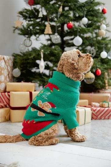 Society 8 Green Elf Christmas Jumper - Dog