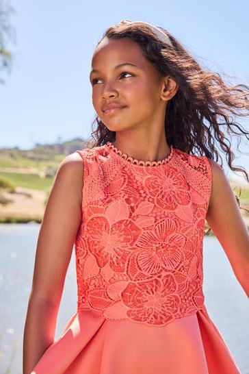 Buy Lipsy Coral Pink Lace Bodice Occasion Dress from Next Luxembourg