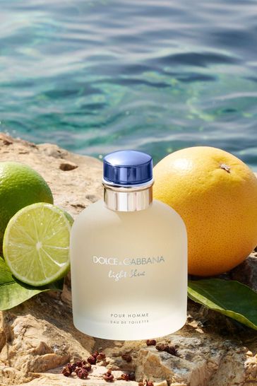 Dolce & gabbana light blue pour homme hotsell eau de toilette 75ml