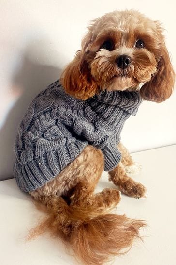 Cable knit dog jumper sales