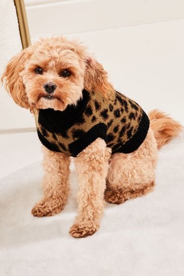 Buy Lipsy Brown Super Soft Printed Knit Dog Jumper from Next