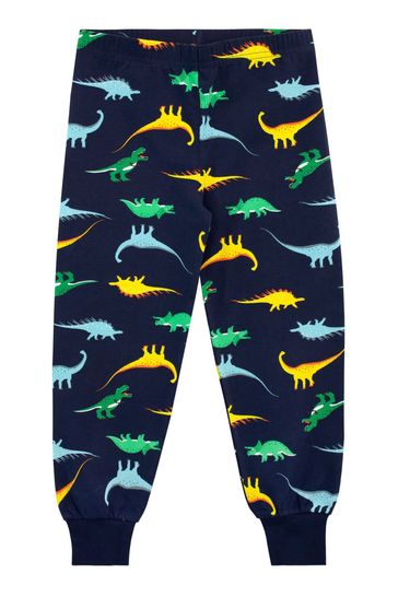 Buy Harry Bear Blue Dinosaur Pyjama Set Snuggle Fit from Next Bahrain