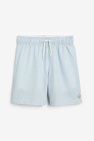 Abercrombie & Fitch Blue Pinstripe Swim Shorts