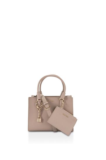 Buy Carvela Mini Latte Bag from Next Bahrain