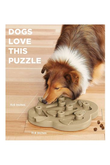 Hide and shop slide dog toy