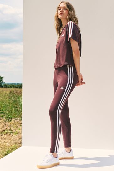 Buy adidas Brown 3 Stripe High Waist Leggings from Next Bahrain