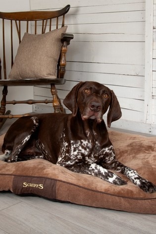 Scruffs store chester mattress