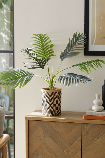 Green Artificial Palm Plant In Natural and Black Woven