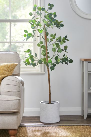 Green Artificial Eucalyptus Tree In White Pot