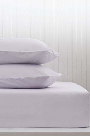 Buy Cotton Rich Sheet from the 