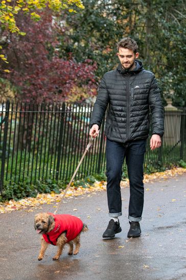 Buy Hugo Hudson Brown Checked Herringbone Dog Lead From The Next Uk Online Shop