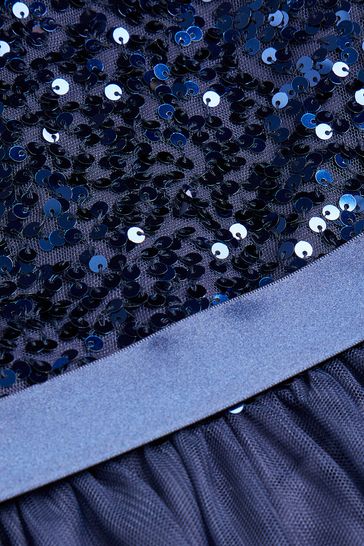 Buy Monsoon Truth Sequin Occasion Dress Next