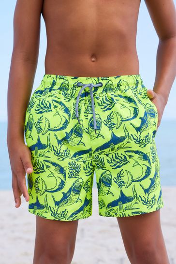 Next shark swim shorts hotsell