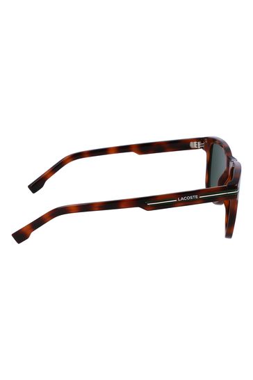 Mens sunglasses discount lacoste