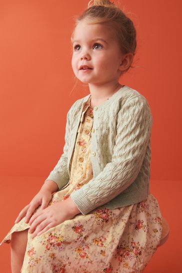 Next pointelle hot sale cardigan