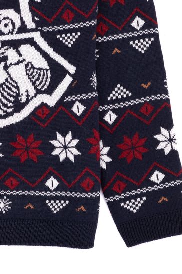 Harry potter christmas cheap jumper kids