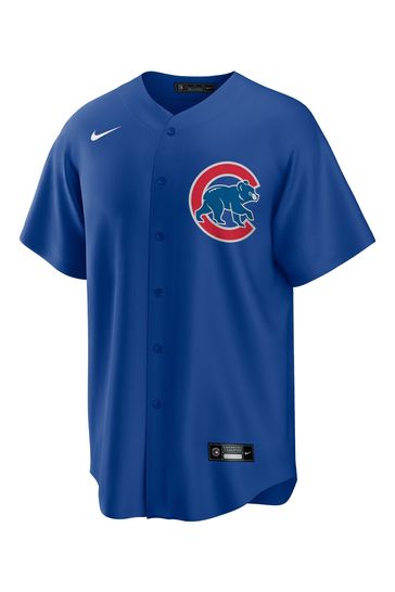 Chicago cubs 2025 alternate jersey