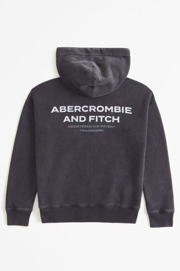 Buy Abercrombie Fitch Grey Zip Through Logo Hoodie from Next Netherlands