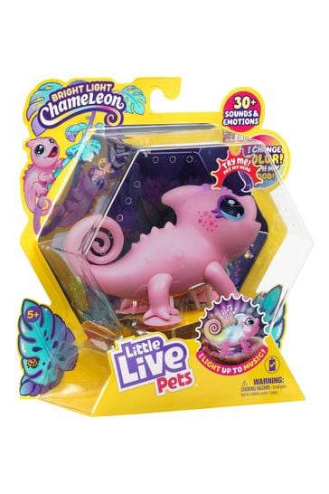 Little Live Pets Lil Nova Chameleon Toy