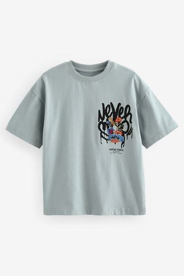 Grey Embroidery Relaxed Fit Short Sleeve Graphic T-Shirt (3-16yrs)
