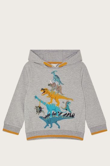 Next dinosaur hoodie 2025