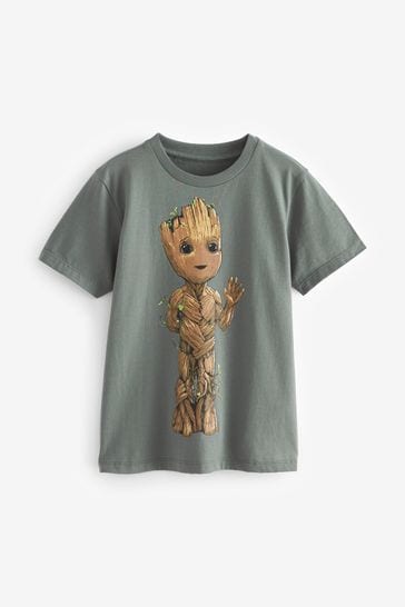 Grey Licensed Guardians of the Galaxy Groot T-Shirt (3-16yrs)