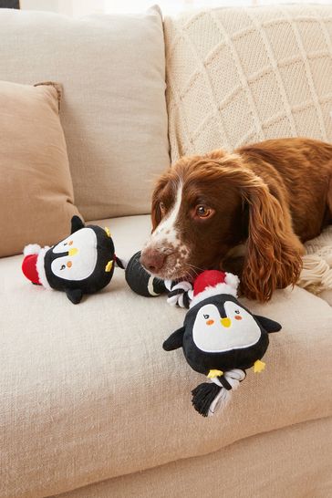 Buy Rope and Ball Pet Toy from Next Sweden