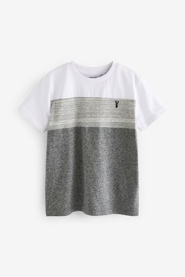 Grey Colourblock Short Sleeve T-Shirt (3-16yrs)