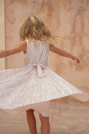 Phase Eight Pink Tiana Sequin Pleat Dress