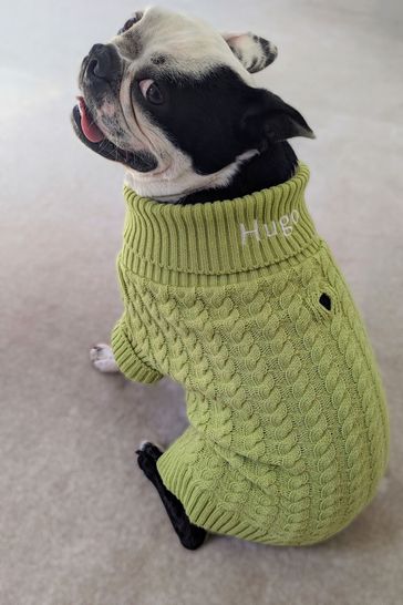 Dog roll outlet neck jumper