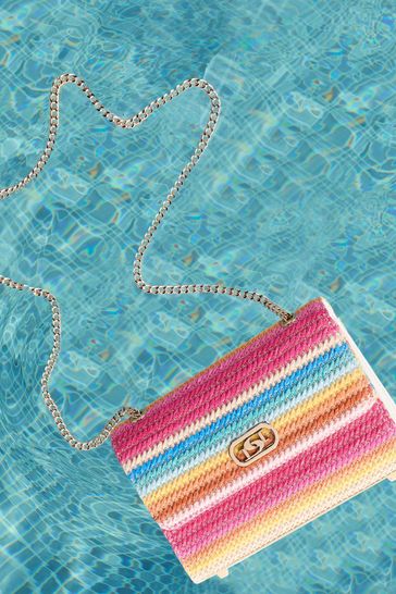 Buy Dune London Multi Mini Dinkydellsie Turnlock Shoulder Multi Bag from Next Netherlands