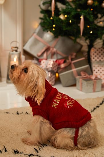 Next dog christmas jumper store
