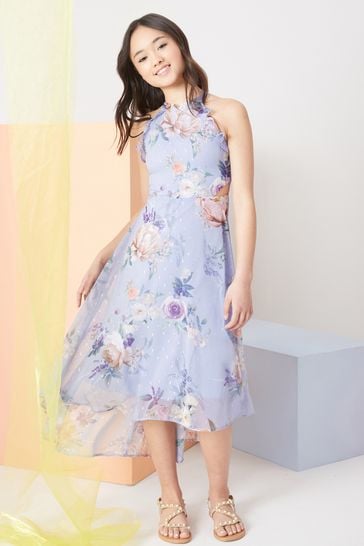 Buy Lipsy Blue Floral Chiffon Maxi Dress from Next Luxembourg