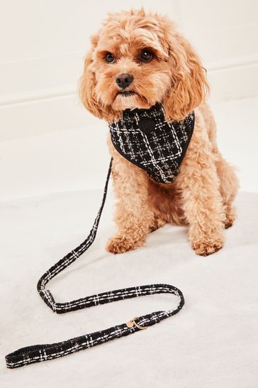 Black dog leads outlet australia