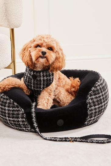 Dog lead attachment for pram hotsell