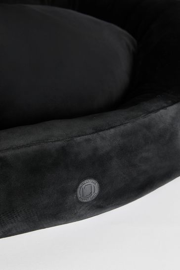Black velvet hotsell dog bed