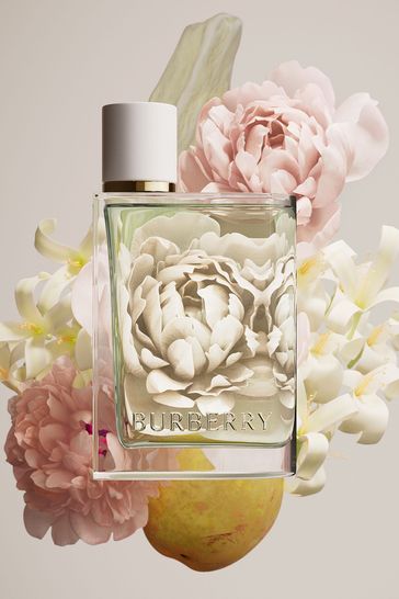 Burberry 30ml zoom hotsell