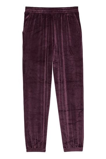 Velour on sale jogger pants