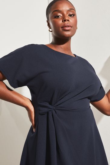 Plus size online navy skater dress