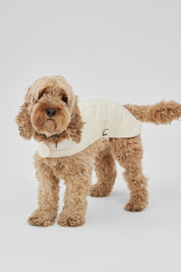 Next cream coat online
