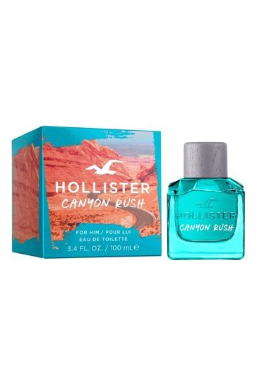 Hollister deutschland top online shop