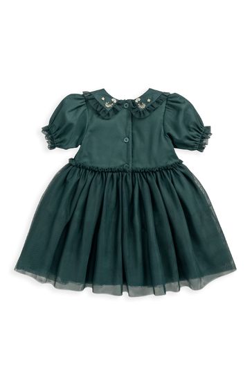 Buy Mamas Papas Green Embroidered Mesh Dress from Next Luxembourg