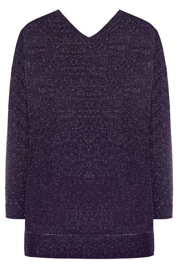 Buy Live Unlimited Fine Knit Metallic Jumper from Next Singapore