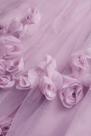 Monsoon rose hot sale dress